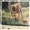 1299 - hallway art - 1981